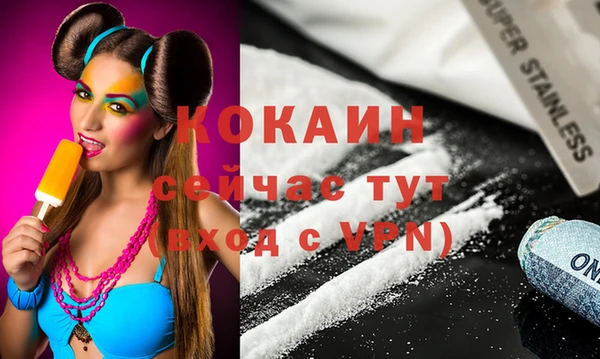 шишки Беломорск