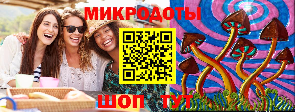 Галлюциногенные грибы Psilocybe Шали